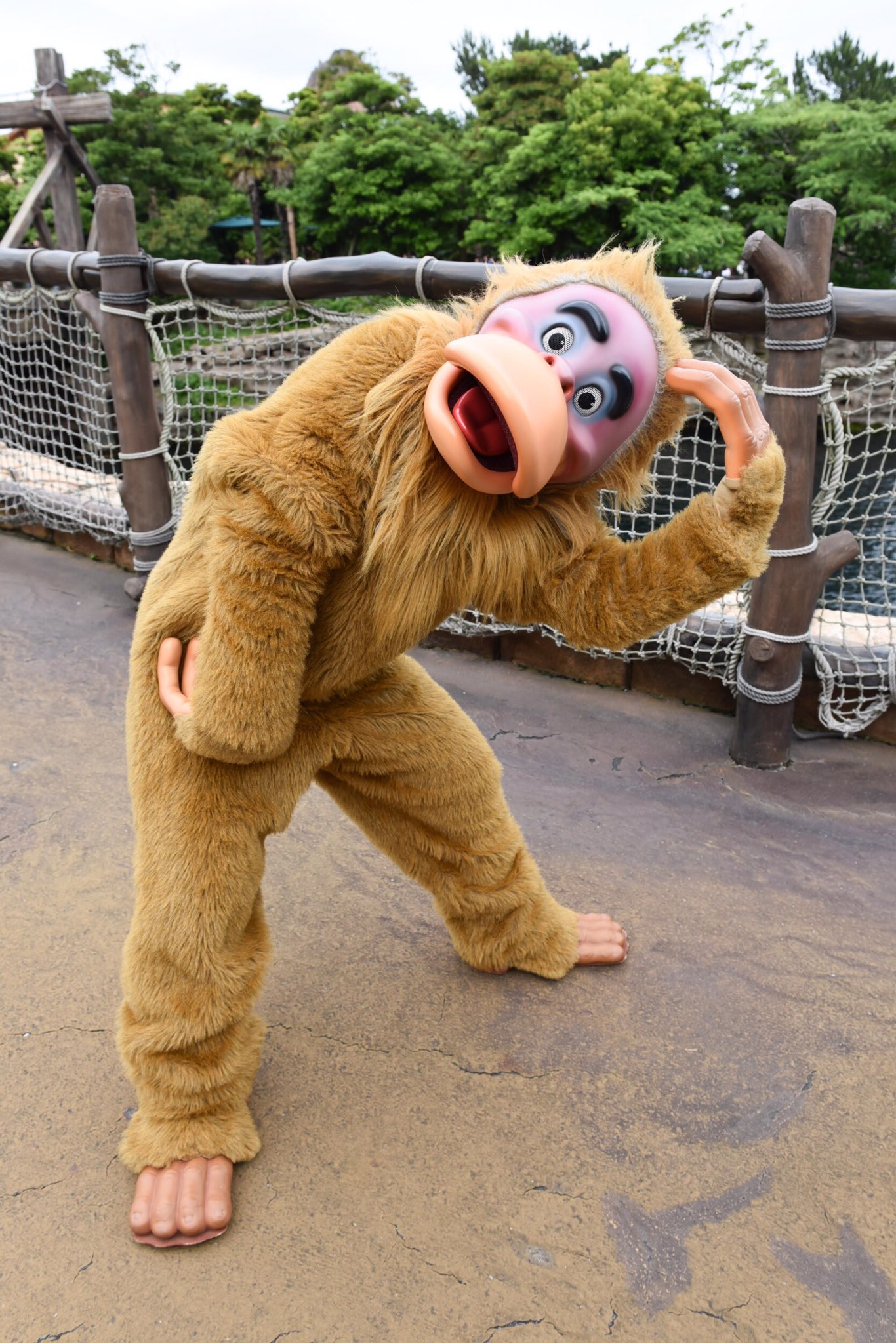 千佳 Disney Photo ディズニー ディズニーシー よく出会う モンキー 可愛い 浜ちゃん ディズニー好きと繋がりたい 夢の国 Nikon 写真好きな人と繋がりたい