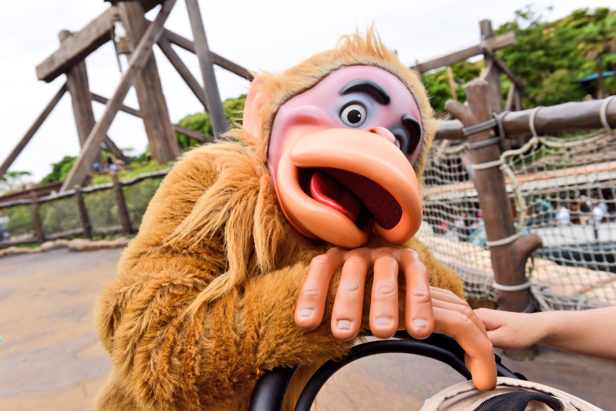 千佳 Disney Photo ディズニー ディズニーシー よく出会う モンキー 可愛い 浜ちゃん ディズニー好きと繋がりたい 夢の国 Nikon 写真好きな人と繋がりたい