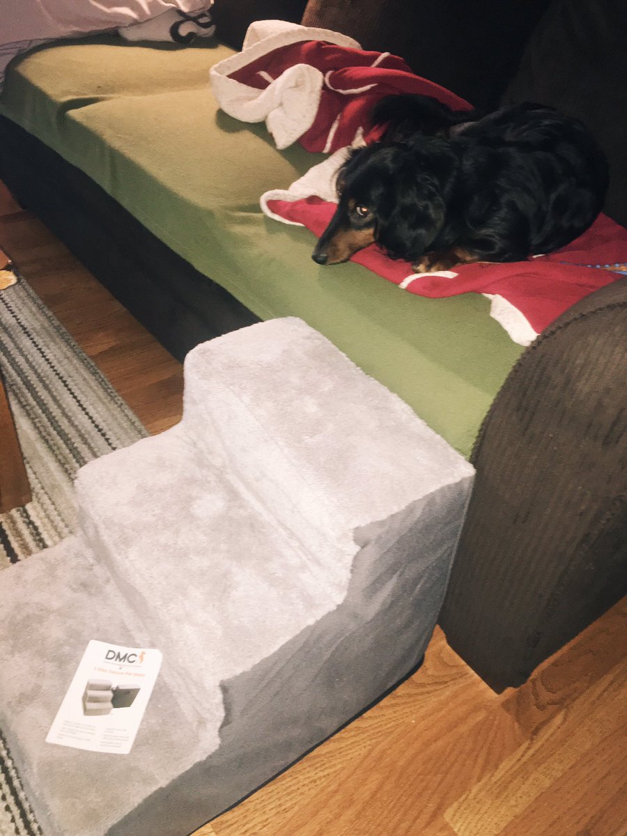 rightbeccatcha's tweet photo. Brodie fractured his back so we got him puppy stairs so that he could still get onto his favorite couch spot 😭💛 https://t.co/N4iRIK2RYC