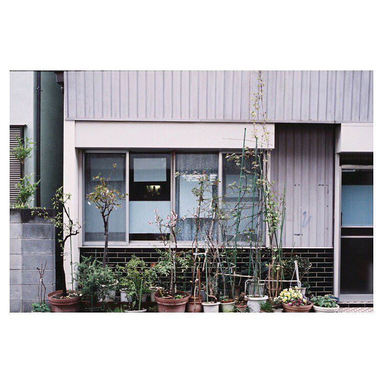 HisaFoto's tweet photo. 「丸子リバサイド」
.
.
.
#agfa #optimaparat #solinar #halfframe #ハーフカメラ #フィルム写真 #kawasaki #tokyo #reco_ig #hueart_life #igm… https://t.co/m9Vmf3gLSI https://t.co/L1bO5oNZ5r