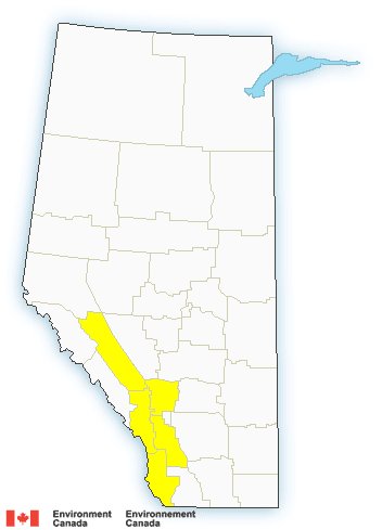 BlueCircle Insurance (@GOBLUECIRCLE) | Twitter