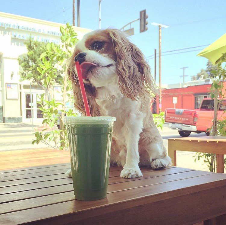 Berry_Bowl's tweet photo. Drop into #berrybowl ! We would be "juiced" to see you! https://t.co/RCyq8wc0IS