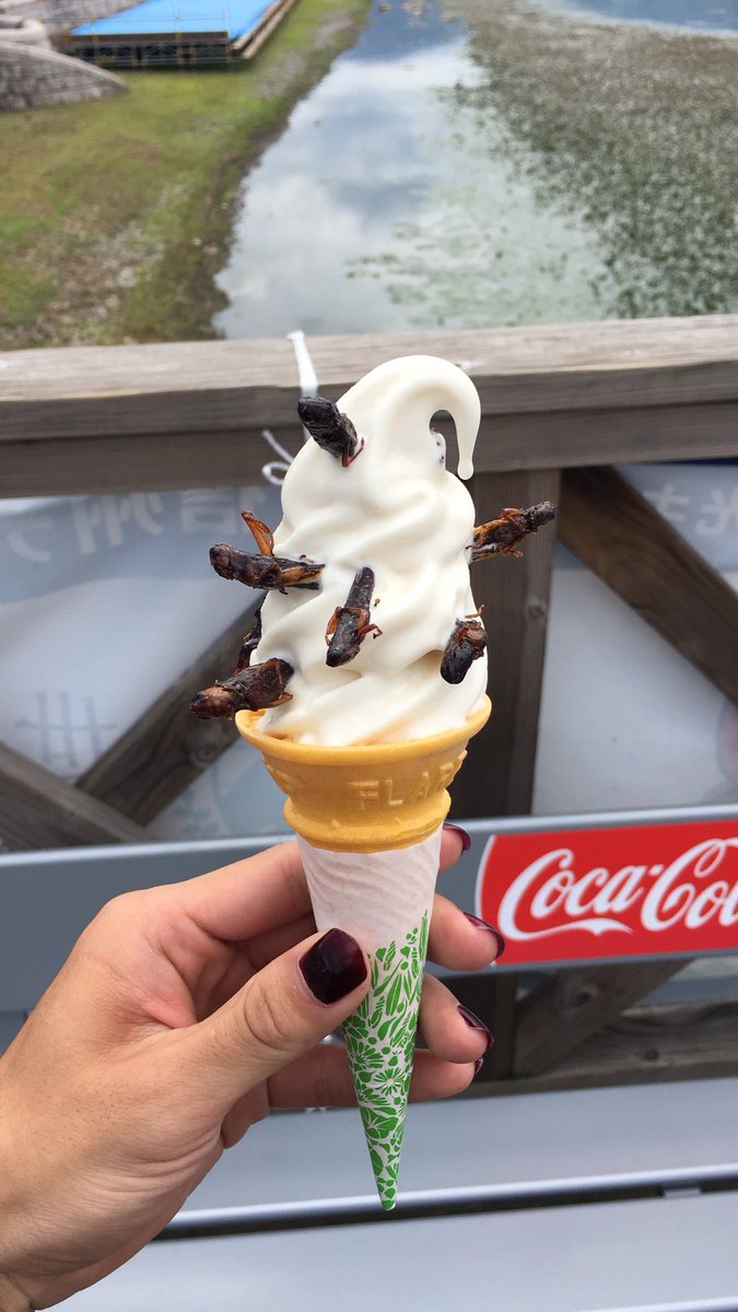 ともや 長野県 バッタソフト 虫は美味しい