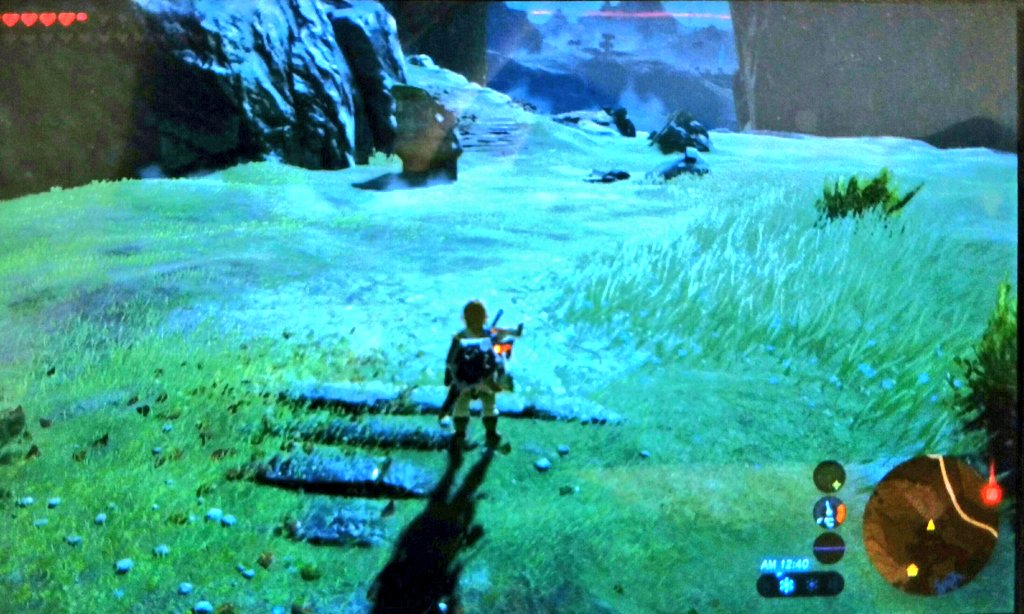 ブレスオブザワイルド 考察