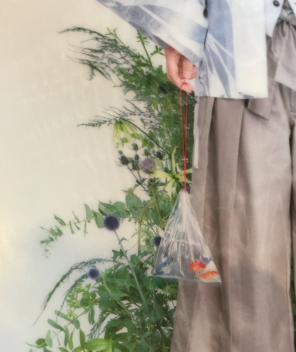 st___tn's tweet photo. 勝利くんファイルの金魚の持ち方がめためた可愛い https://t.co/ETL6v4UgM3