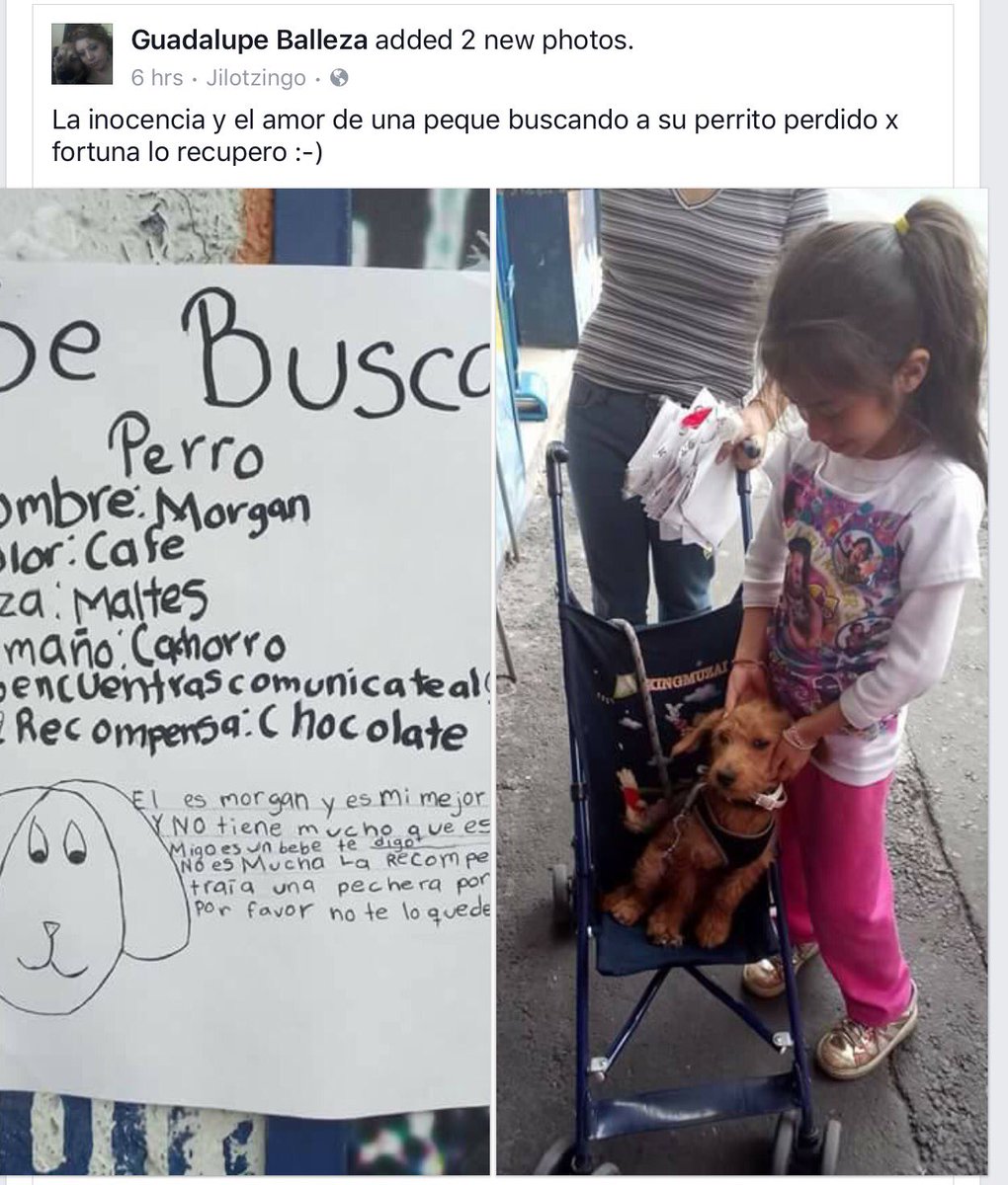 <a href="/CiudadHonestaMX/">Ciudad Honesta</a> <a href="/PrrosPerdidosMX/">PerrosPerdidosMx</a> <a href="/RescateAnimal/">Rescate Animal</a> @ParaPerros <a href="/AnimalPetMx/">Animal Pet</a> Ya apareció!