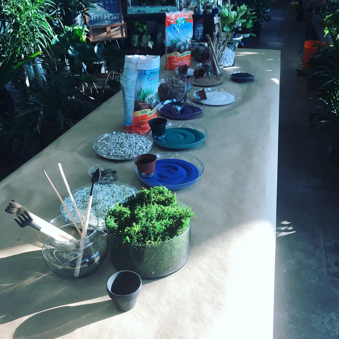 FMGCChicago's tweet photo. Thank you to all who came to our Workshop! Take a 👀at the finishing looks from an evening of 🎶, 🍷, and of course 🌱! #fmgcchicago #terrarium https://t.co/obEiifLiMk