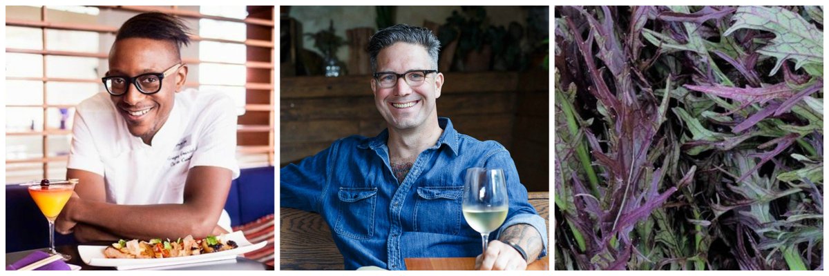 zengerfarm's tweet photo. Our 8/19 Farm Dinner with @GG30000 and @jasonffrench is $85/person and includes dinner and wine! Get your tix: https://t.co/Vss9Vk3R5m https://t.co/NFVuJfkH45