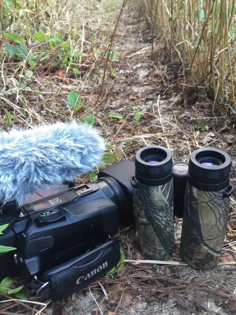 RealDeerCamp's tweet photo. Who's up for a beautiful evening scouting! Got several bucks out in the beans! #scouting #deercamp #outdoors https://t.co/nHeqrcvOF1