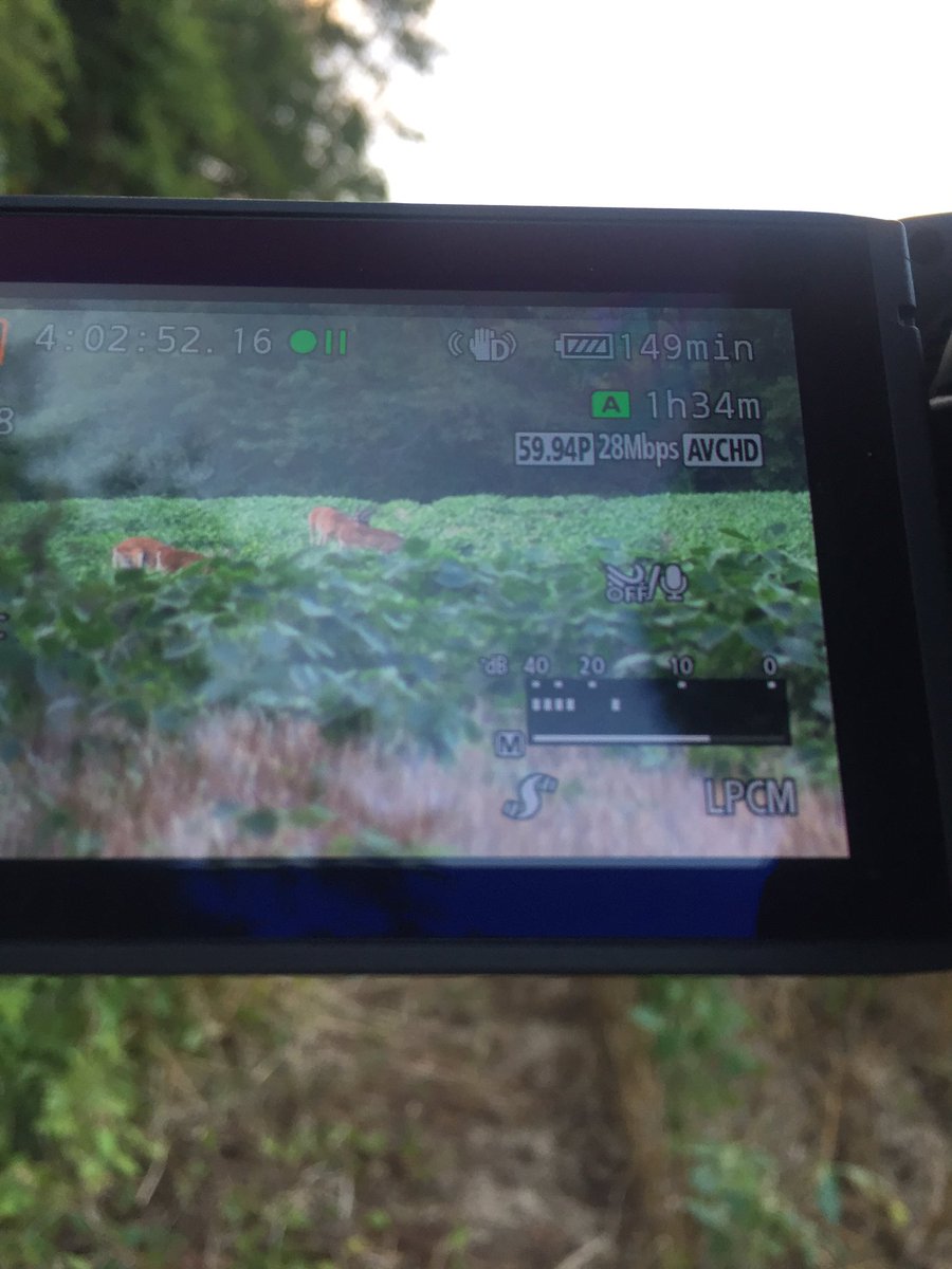 RealDeerCamp's tweet photo. Who's up for a beautiful evening scouting! Got several bucks out in the beans! #scouting #deercamp #outdoors https://t.co/nHeqrcvOF1