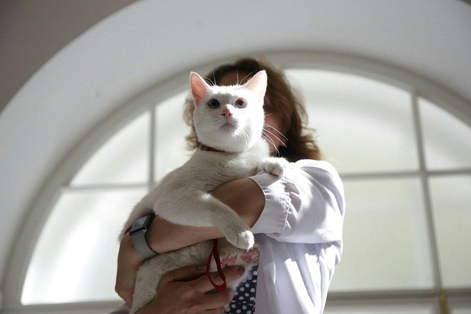 Преглед на изображението в Twitter Преглед на изображението в Twitter