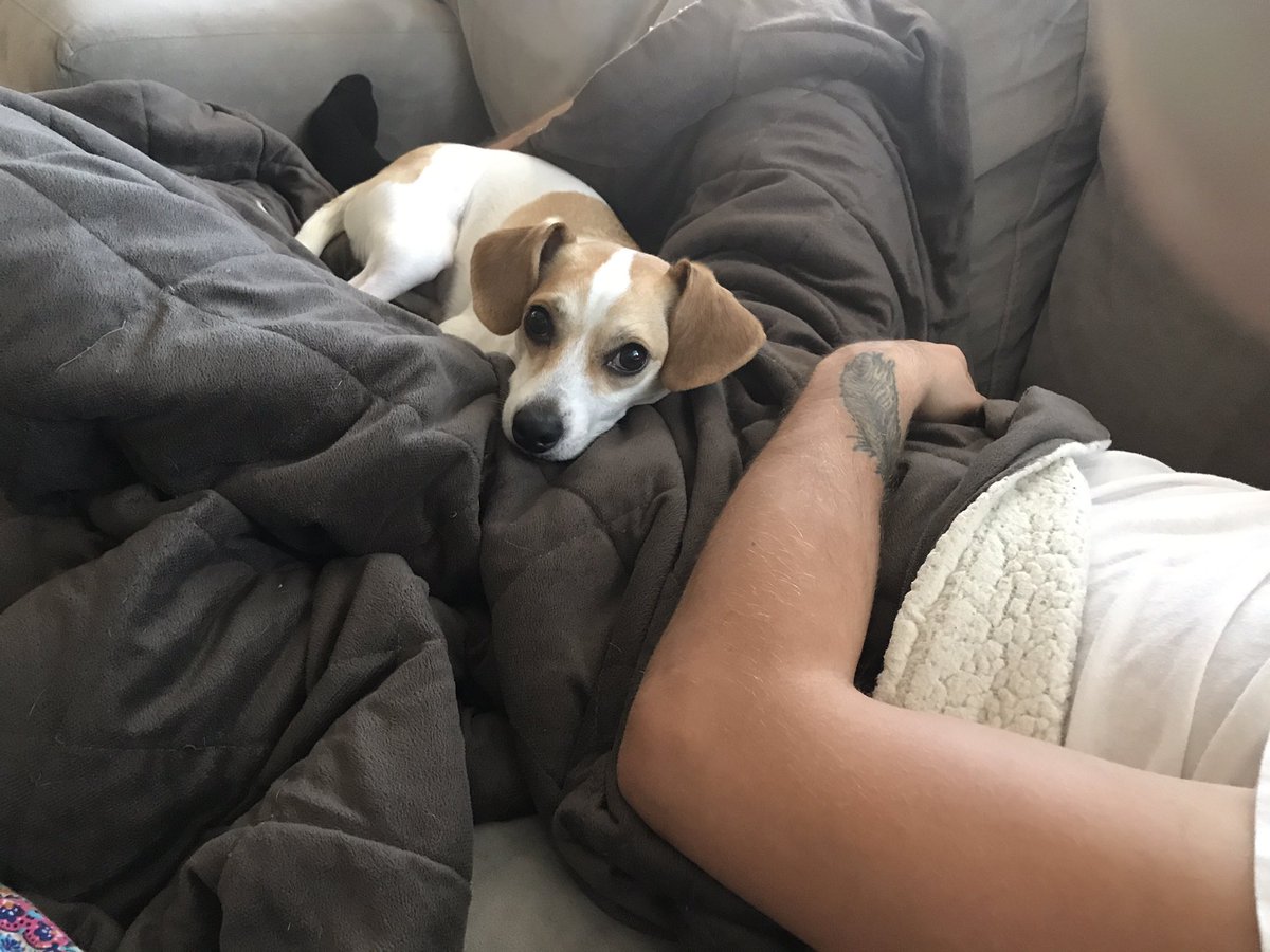 Like father, like son. It's a hard life 😍❤️