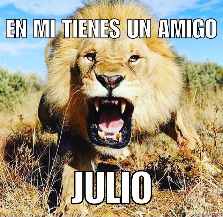 Midnight12Rockr's tweet photo. #QueQueWhat #LovingRamon https://t.co/VbALzjZvd3