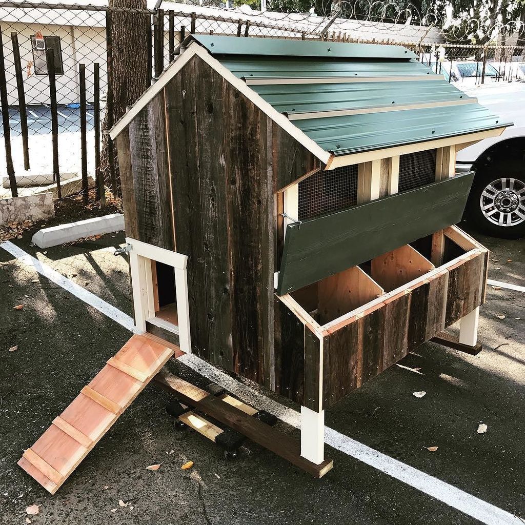 PaulRarePoultry's tweet photo. #CustomCoops #coops #customized #coop #chickenladder https://t.co/pCAULVCCUi