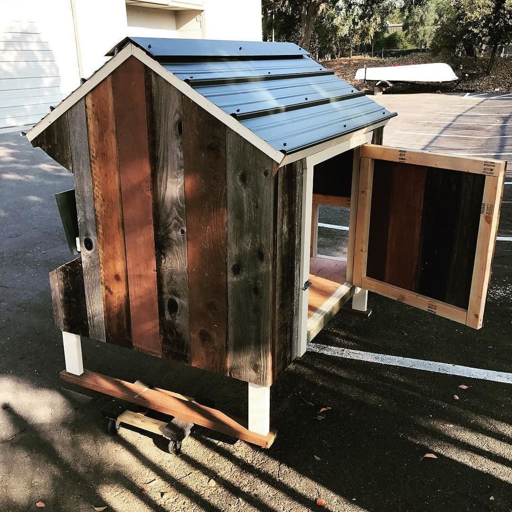 PaulRarePoultry's tweet photo. #cleanoutdoor #coops #CustomCoops #coop #customized #chickencoop https://t.co/zA3aKkSLDk
