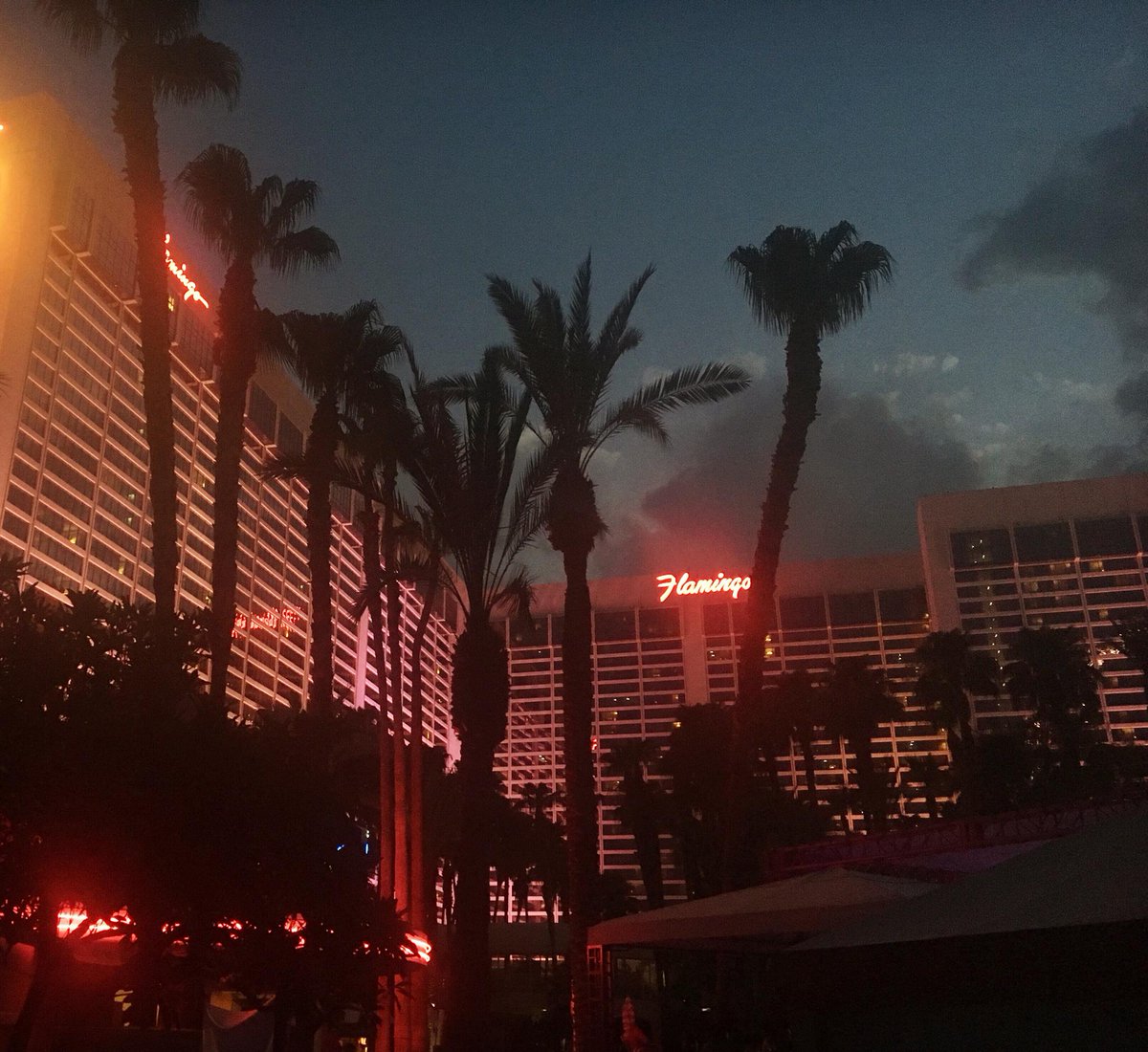 FlamingoVegas's tweet photo. On Wednesday's we Beachclub at night. π π πΉπ΄ 7-12am #BCNight
https://t.co/PECCIeATOA https://t.co/pxfJ5fQXvb