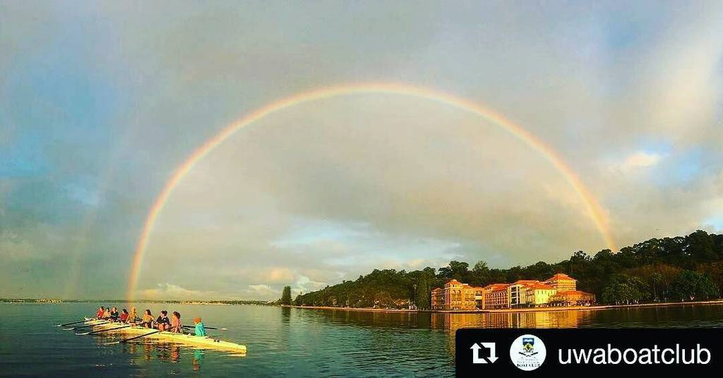 #Repost <a href="/uwaboatclub/">UWA Boat Club</a>
・・・
When you find your Novice girls at the end of the rainbow 🌈 #perth #rowing #aviron #crew … ift.tt/2hMBK6E