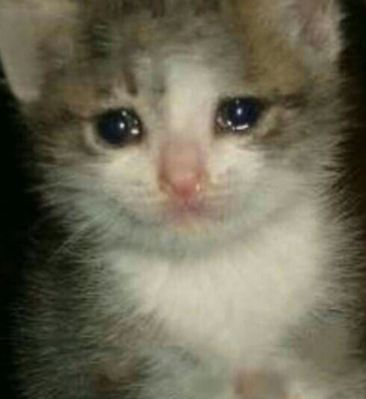 TheBestKent's tweet photo. @garfieldlogan_ It's okay boo https://t.co/F5AW2O7ySz