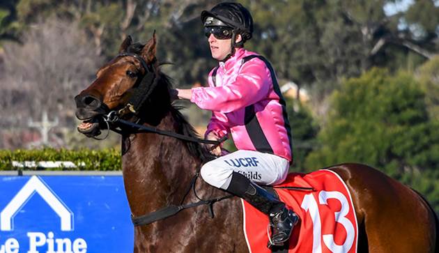 NEWS: Russell and <a href="/scottcameron111/">scott cameron</a> planning a winning Boogi at #Flemington. bit.ly/2ur49W0