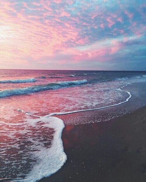 visual_supply's tweet photo. Vibes 🌺 https://t.co/Wk6U0mcEPk