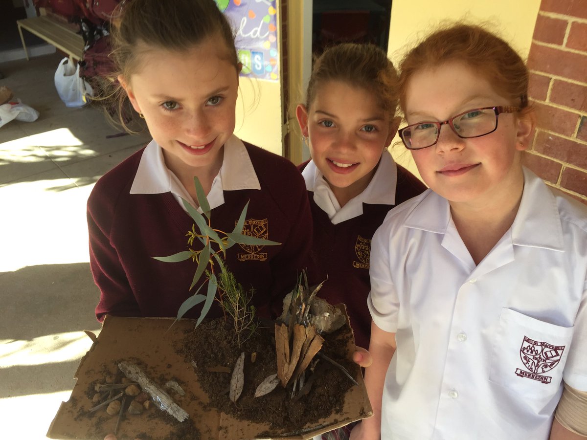 St Mary's Merredin tweet media