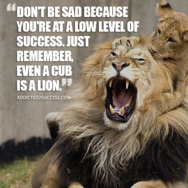 Addictd2Success's tweet photo. If you aren't achieving much success right now, keep this in mind!

Head over to https://t.co/mR43vh4ImK for more motivation! :) https://t.co/Gu3P7hvBdZ