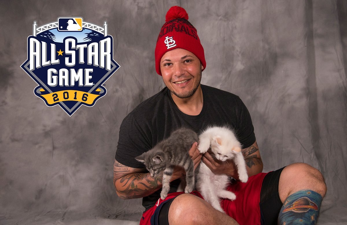 thepcakes's tweet photo. This just in, #RallyCat was an inside job! It was @Yadimolina04 cat the whole time! https://t.co/KecdLNThEk