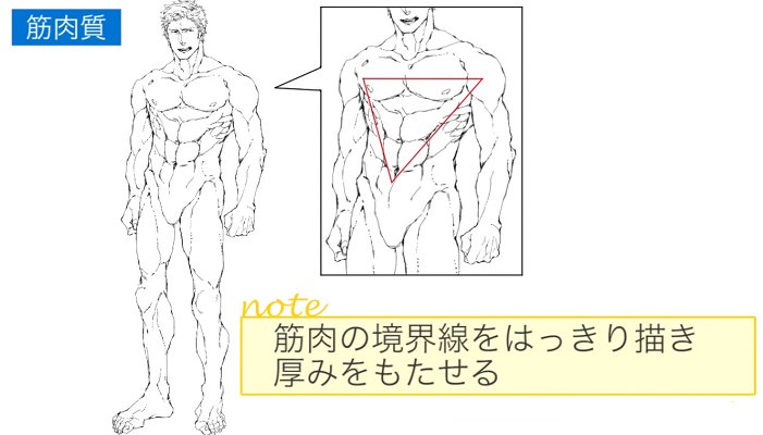 お絵かき講座パルミー در توییتر 男性キャラの体型の描き方講座 男性キャラの体の描き方について 様々な男性のイラストを用いて解説する講座です 体型と年齢に応じて体を描きわける際のコツや細身 アスリートまで 様々な体型を紹介します T Co