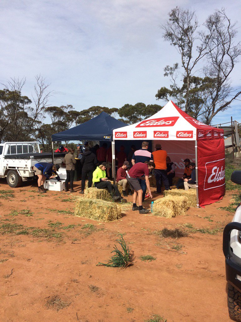 Great turn out for the first #Smartfarmer NRM Young Guns Crop tour today! #EldersAgronomy