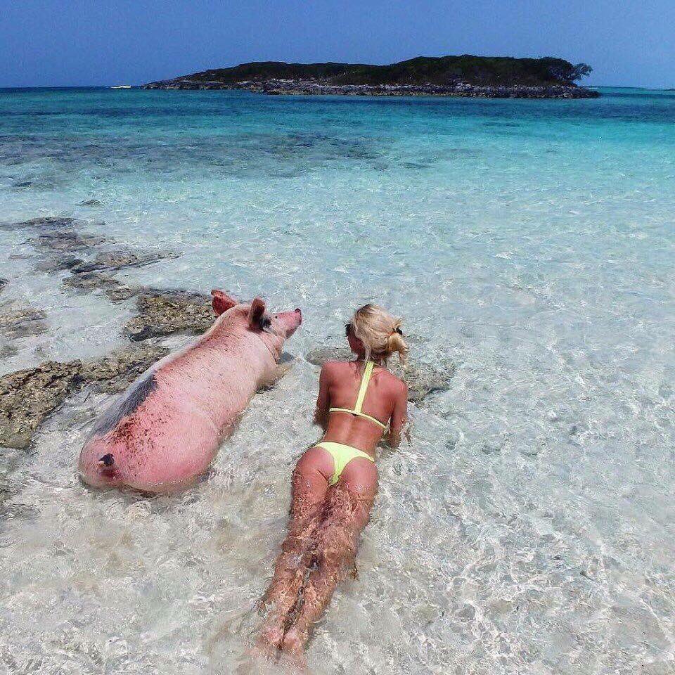 Прикольные картинки на черном море