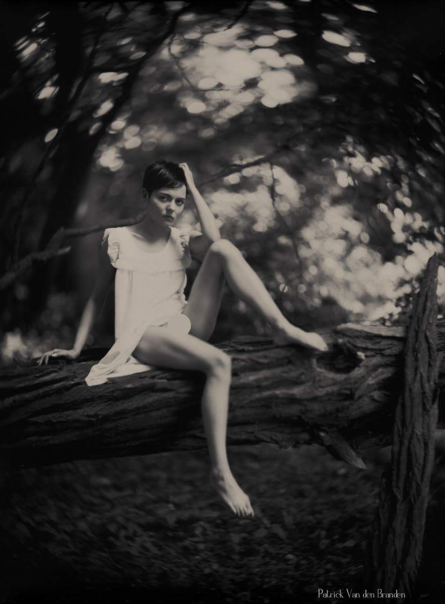 Qasem_Bakhshi's tweet image. حالا هی دیجیتال دیجیتال کن. هنر و واقعیت اینه نه اون.
#analog #large_format