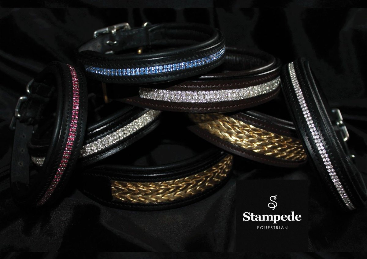 StampedeEq's tweet photo. Free shipping is on this August #poshcollars #DoggieSchoolDay #BDBCo #GoodDogMagazine #goodvetguide https://t.co/svNoxoWwFc