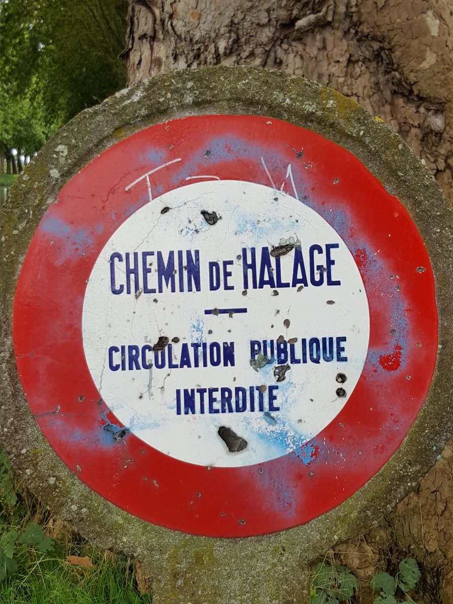 IBikeStrasbourg's tweet photo. 60 km aller retour entre #Strasbourg et Gerstheim sur @EuroVelo15 le long du Canal du Rhône au Rhin.
#EV15 #alsaceavelo #cd67 #velo67 https://t.co/T2CKWFyGjX