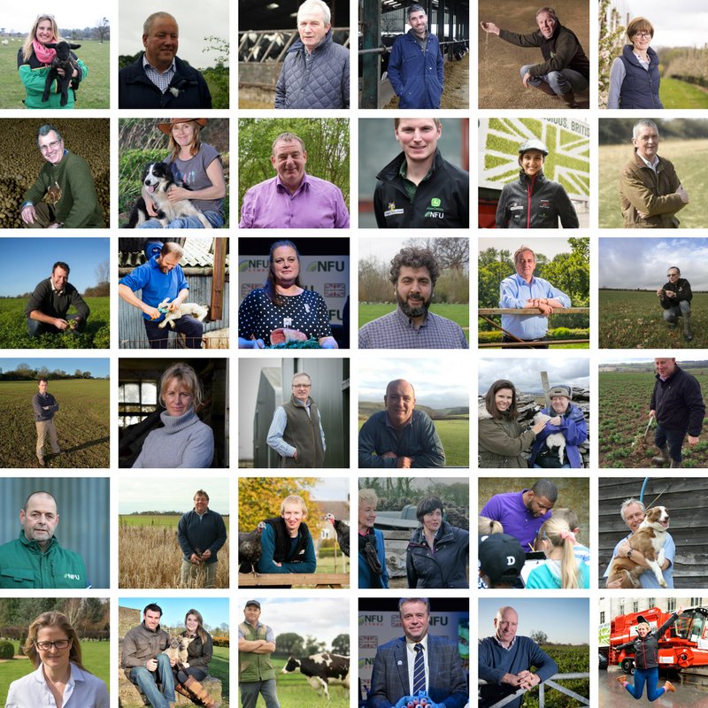 NFUtweets's tweet image. RT if you agree that our farmers have an incredible story to tell #Farm24