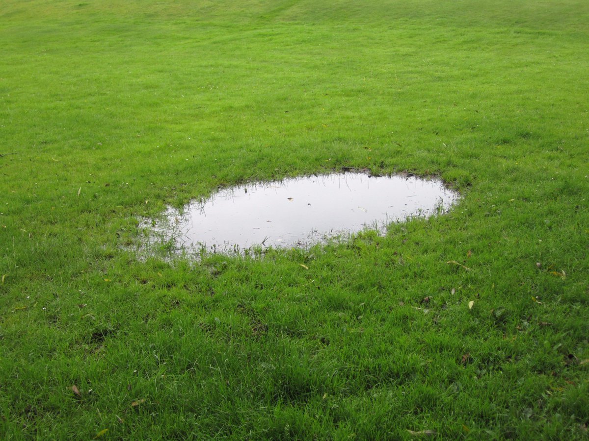 FrancoisDip's tweet photo. Almost had a brief encounter with #KenKratz. Thankfully I'd avoided it in time. #sweatpuddle #MakingAMurderer https://t.co/0GQW3aqtkF