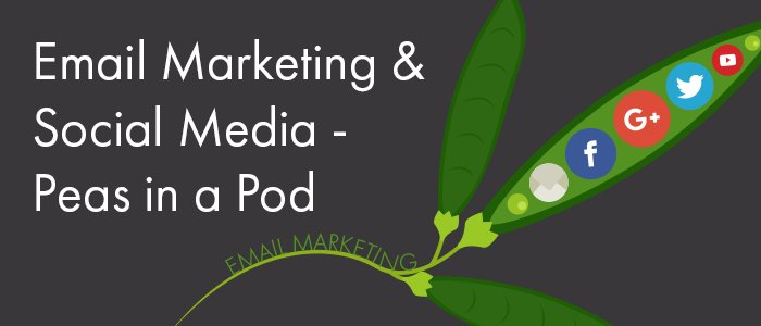 invislistbuild's tweet photo. Here’s how to go about integrating your #email and #socialmediamarketing efforts.

Read here: https://t.co/B3x2LZv0u5 https://t.co/E6ilh5ic0v