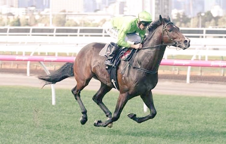 timbguille's tweet photo. @Caulfield Guineas (All In) 1st market!  
$7 Royal Symphony
$11 Esperance Invader Kementari Pariah
$13 Catchy
$26+ Others https://t.co/NZJ9HeL36A