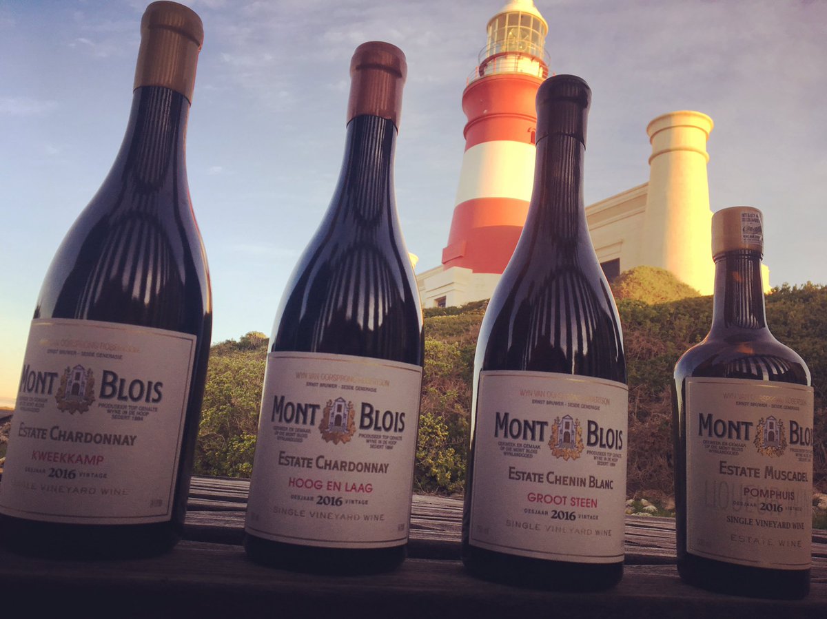 NinaMariBruwer's tweet photo. @MontBlois Wines at the Most Southern Tip of Africa. Available at the Wine Boutique in Aghulas SOON! #capeaghulas #lighthouse @ejbruwer https://t.co/ZQBmjKRgsp