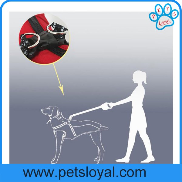 petsloyal's tweet photo. New Design Medium and Large Pet Dog Clothes with Collar. andy@petsloyal.com https://t.co/ER8bRIbrZH