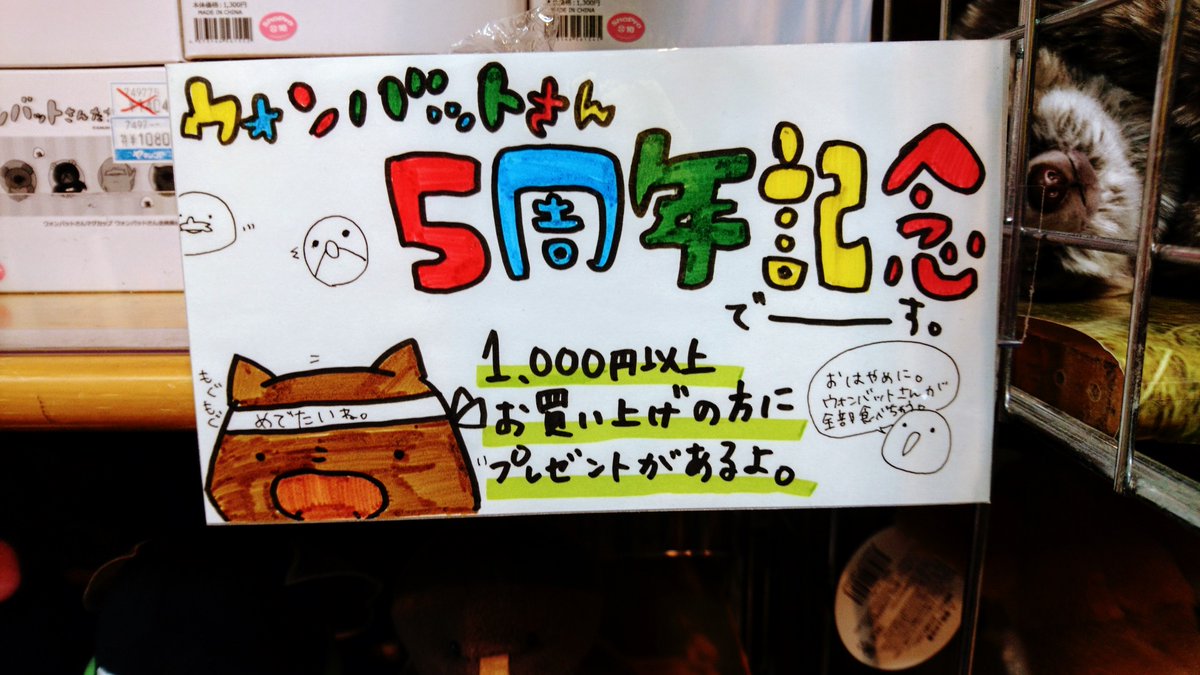 サンレモン على تويتر 手書きのpopもありがとうございます ノベルティあるうちに行くのが吉ですよー