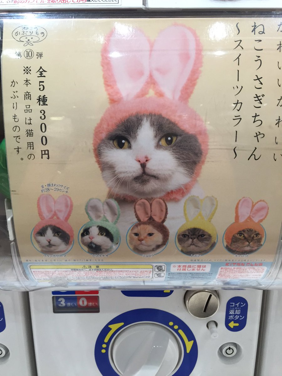 ドリームカプセルつくば 8月10日新商品入荷情報 かわいいかわいいねこうさぎちゃん スイーツカラー Putittoシリーズ Hanako ぷにっとねこだいふく 香る癒しのにゃんこボトル ガチャガチャ ねこうさぎちゃん ねこ スクイーズ T Co