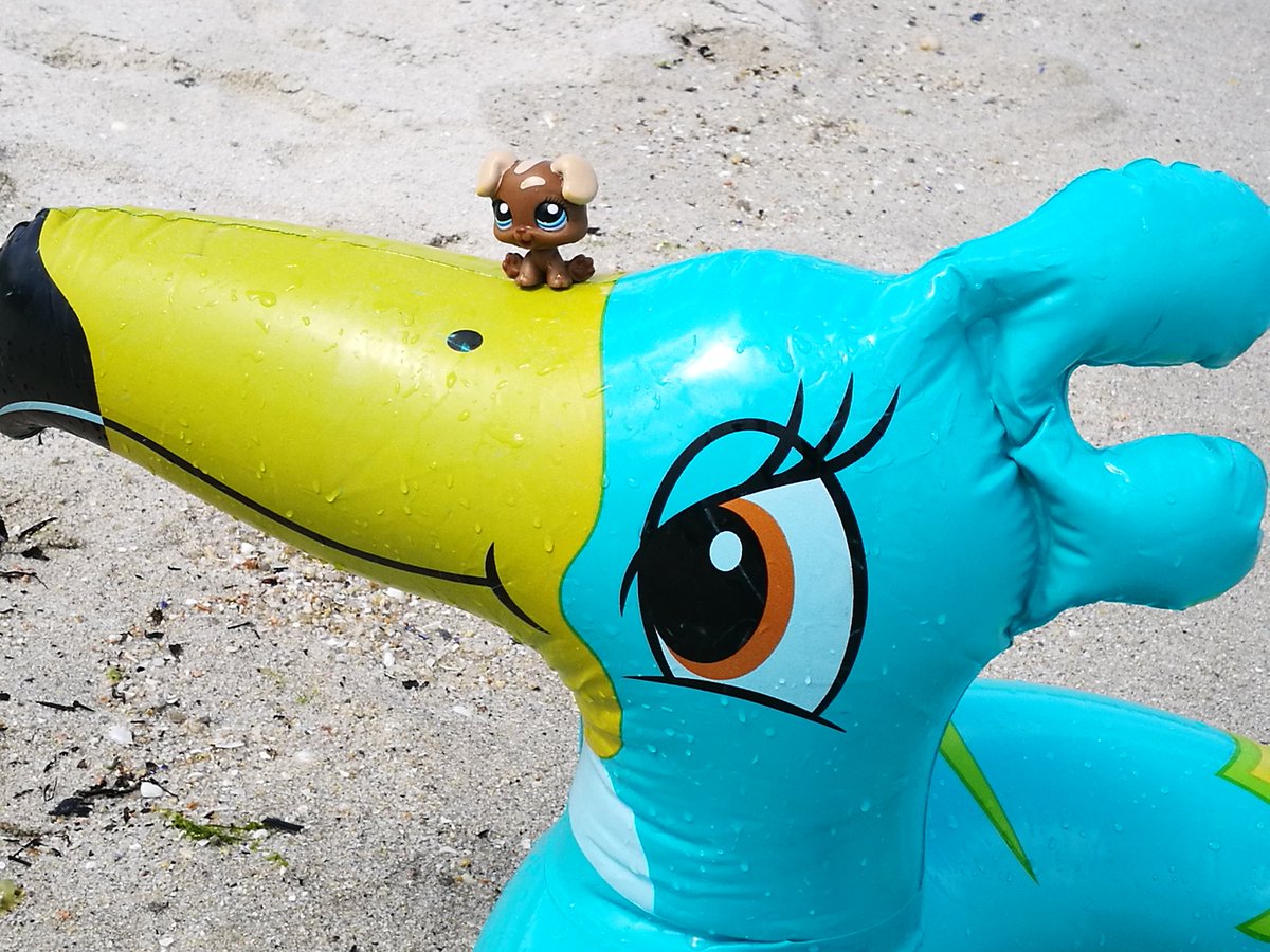 SophieGarssine's tweet photo. 💙 Quand tu découvres que tes deux filles 👭 ont joué avec ton téléphone 🤗🤗🤗...made in #Bretagne #Finistère #BeigMeil 🌊🌊🌊
#Petshops 💙 https://t.co/ZNVvOdviVt