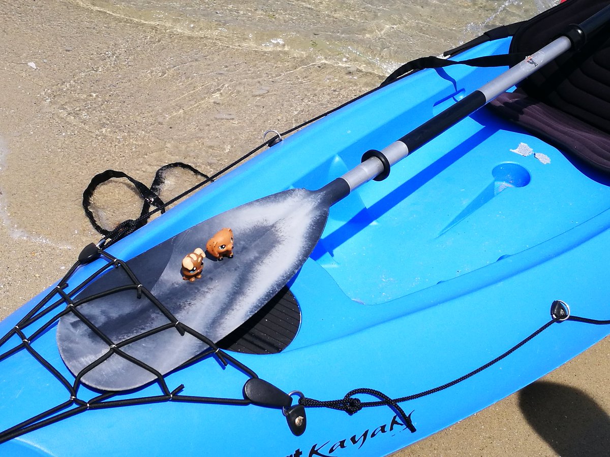 SophieGarssine's tweet photo. 💙 Quand tu découvres que tes deux filles 👭 ont joué avec ton téléphone 🤗🤗🤗...made in #Bretagne #Finistère #BeigMeil 🌊🌊🌊
#Petshops 💙 https://t.co/ZNVvOdviVt