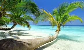 Todorastro's tweet photo. Destino #Jamaica, bañador y ganas de disfrutar, no necesitas nada más, con @ViajesNakara https://t.co/lfdeWWGd3M  #oferta #TodoRastro https://t.co/rObThdIk5i