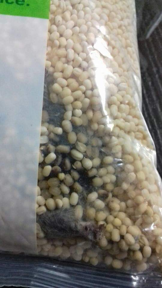 DirSPShakthivel's tweet photo. So careless @bigbasket_com ...now it's a #Bugbasket...kindly aware of what's going ..#fbfriend https://t.co/1oKzqiYT4v