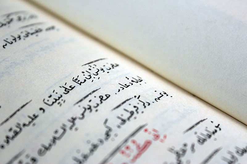 "Aklı başında olan insan, ne dünya umûrundan kazandığına mesrur olur ne de kaybettiği şeye mahzun olur." Mesnevi Nuriye, 115