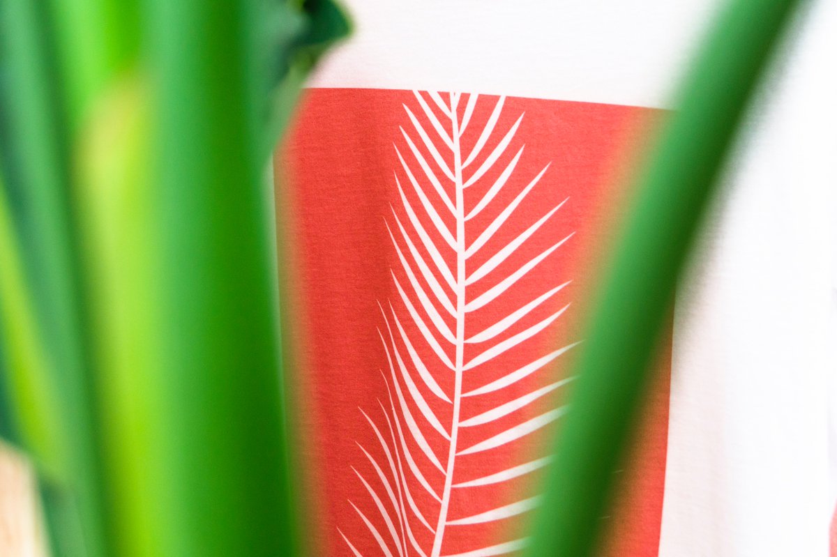 QuashClothes's tweet photo. Aloha!! 🌴🌴
/ Camiseta #BeTropical
En colaboración con @Qadradocreativo.
https://t.co/cWHlDHfAV0 https://t.co/83gSVqMBI2