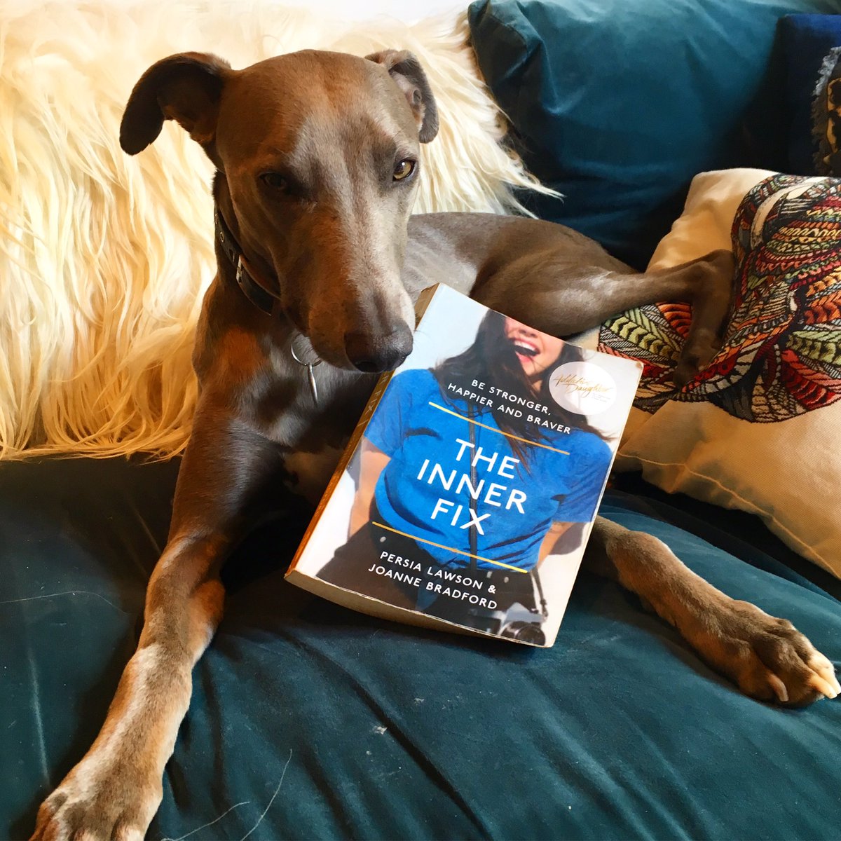 Persia_Lawson's tweet photo. Sir Bertie, REPRESENTING 🤘🏽

#InnerFix #thursdaythoughts https://t.co/qK82Qcnjgd