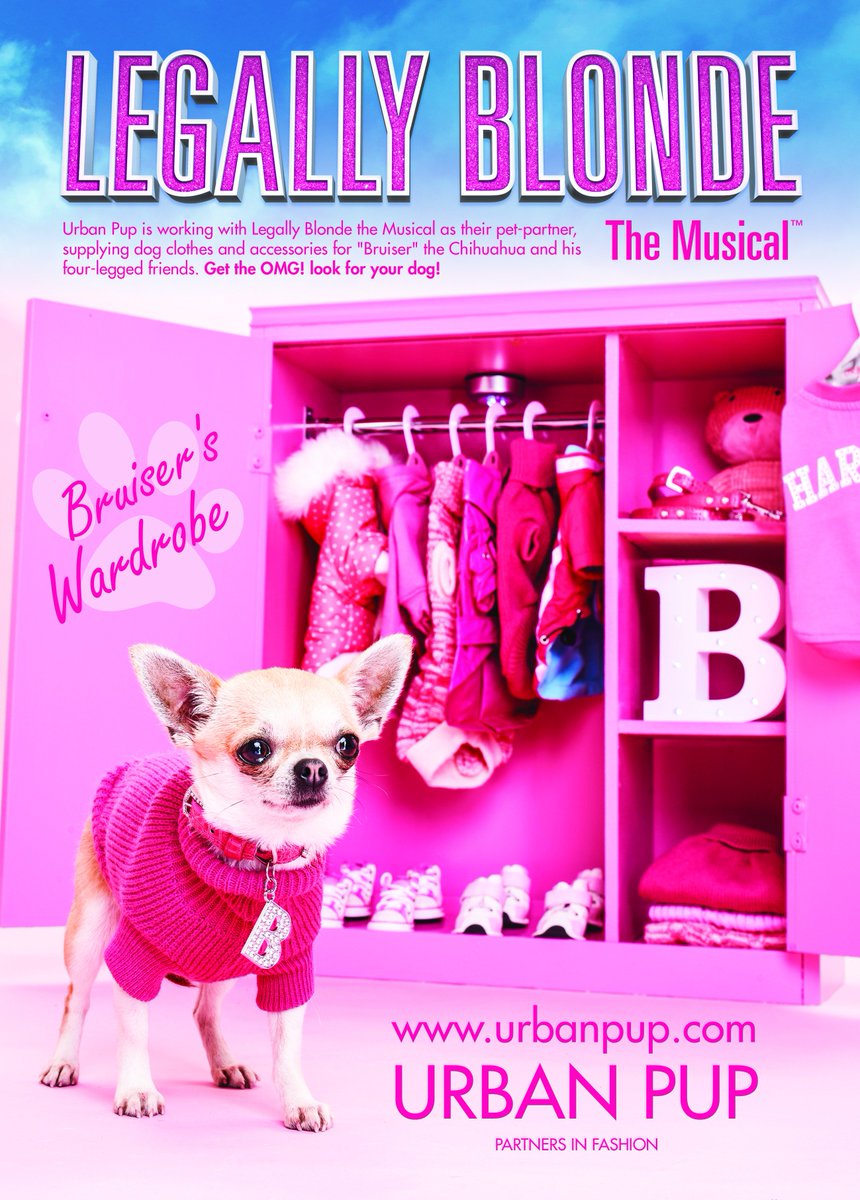 UrbanPup's tweet photo. Get the #OMGLook # for your dog at https://t.co/OknCmPHHOM and don't forget to buy your show tickets here https://t.co/qoWVh9SEDM 🐶😍🐶😍 https://t.co/IMeaoEUNFh