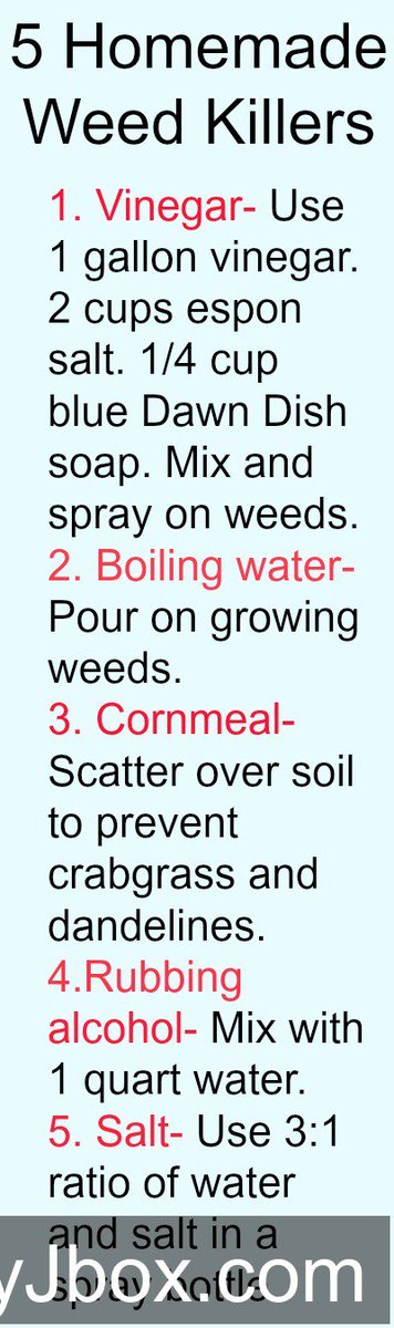 maryjbox_com's tweet photo. Try one of these all-natural solutions to remove unwanted plants from your garden. Like our facebook page https:... https://t.co/rLMoyzQelu